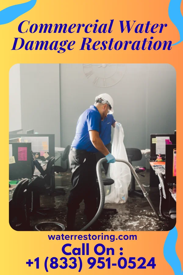 Commercial Water Damage Restoration in McNary, LA