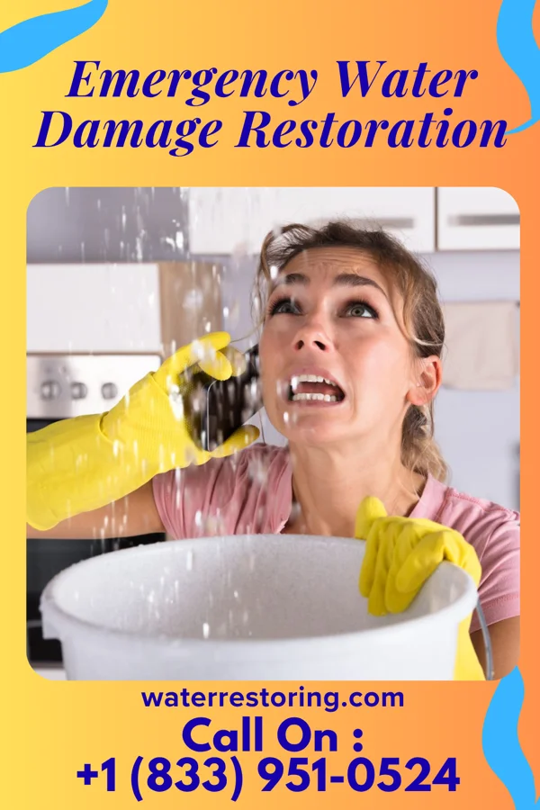 Emergency Water Damage Restoration in McNary, LA